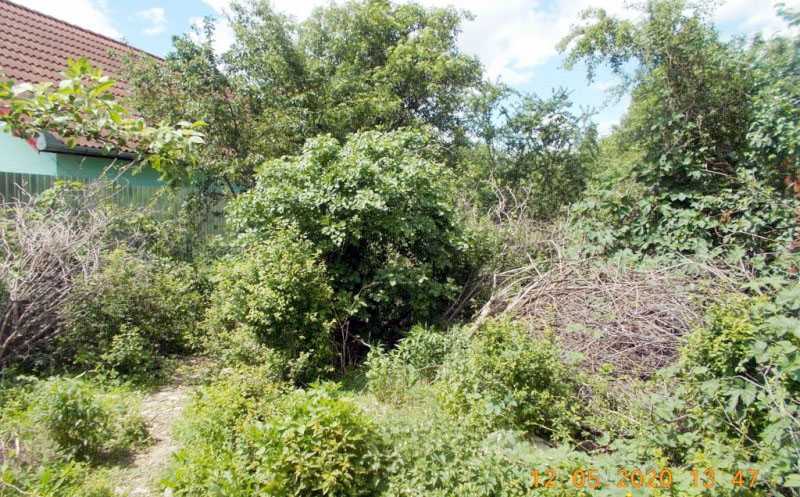 terenuri neingrijite pnalitati impozit 500