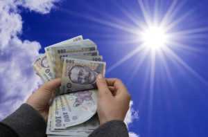 Bani pentru susținerea producției de legume 14 bani soare - Bani pentru susținerea producției de legume