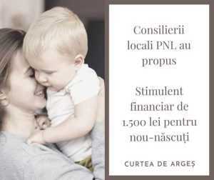 Sursă foto: PNL Curtea de Argeș