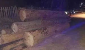 Argeș! Tot mai mulți hoți de lemne prinși în fapt! 1 lemne busteni noapte e1700507787804 - Argeș! Tot mai mulți hoți de lemne prinși în fapt!