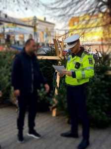 Ipj în acțiune la vânzarea de brazi! Un argeșean a furat 5 mc de arbori de la Fondul Forestier Național! 1 brazi furt - Ipj în acțiune la vânzarea de brazi! Un argeșean a furat 5 mc de arbori de la Fondul Forestier Național!