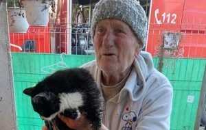 pisica batran e1671881752249 - Pompierii fac miracole de Crăciun! Au salvat un pisoi rămas blocat pe o conductă de scurgere a apei!