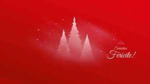 Simona Bucura Oprescu: Crăciun fericit! 22 Sursă foto: Facebook Simona BUcura Oprescu