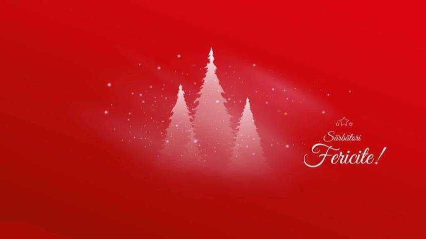 Sursă foto: Facebook Simona BUcura Oprescu