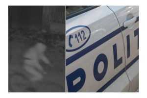 El este criminalul căutat de polițiști! A ucis un consătean în seara de Ajun 1 polițiști cauta criminal