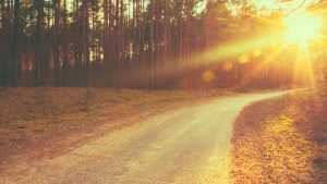 cald toamna soare - Temperaturi de peste 10°C în toată țara! Anunț ANM!