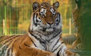 ZOO Pitești este deschisă pe 23-24 IANUARIE 2023 1 Sursă foto: Facebook Primaria Municipiului Pitesti