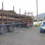 Foto descriptiv/ Sursa Biz Brasov