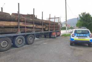 Argeșean de 26 de ani - prins la furat de lemne 28 Foto descriptiv/ Sursa Biz Brasov