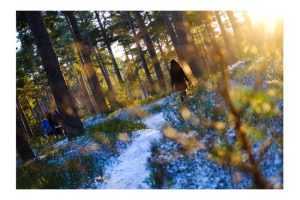 Scenariu ANM. România ar putea rămâne fără zăpadă în câțiva ani 6 ANM