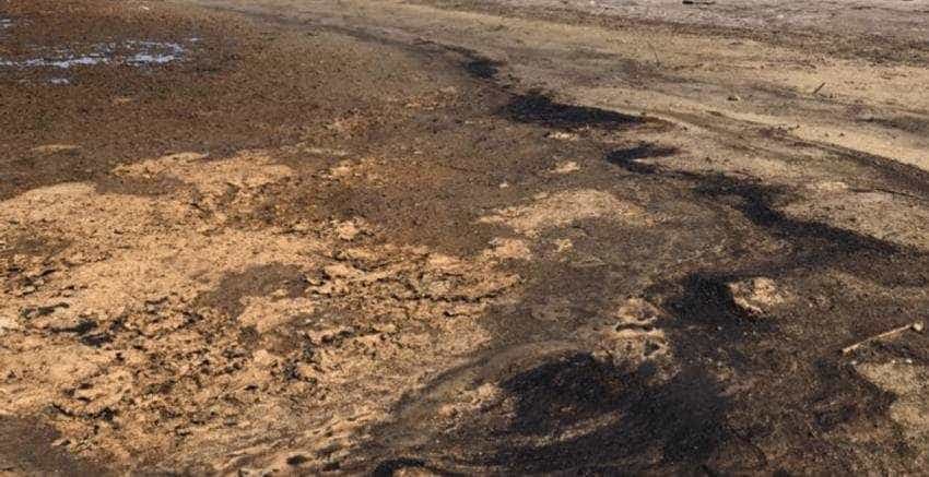 sol poluat Sursă foto: adevarul.ro