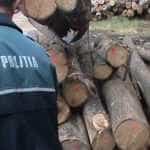 lemne-hot-politie control amenda