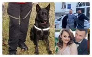 Criminalul de la Bran a fost găsit de o cățelușă polițistă! Ce l-a dat de gol pe bărbat 1 crima bran catelusa bata - Criminalul de la Bran a fost găsit de o cățelușă polițistă! Ce l-a dat de gol pe bărbat