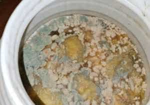 Mizerie after 5 770x540 1 - Mâncare expirată și mizerie într-un afterschool! Părinții plăteau 1.800 de lei pe lună pentru un copil