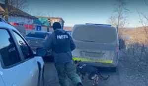 crima politie caine - A fost prins criminalul care a decapitat un bărbat! Este chiar nașul victimei