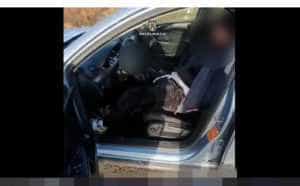 Fugăriți de poliție după ce au dat spargeri în Argeș! Unul dintre ei este acuzat și de viol 1 politie hot - Fugăriți de poliție după ce au dat spargeri în Argeș! Unul dintre ei este acuzat și de viol