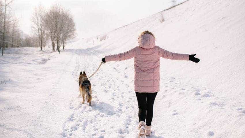 vacanta-iarna-c-1000×563