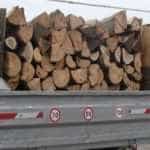 03 lemne 800x445 1 - Transport ilegal de lemne în Argeș: bărbat amendat cu 2.000 de lei