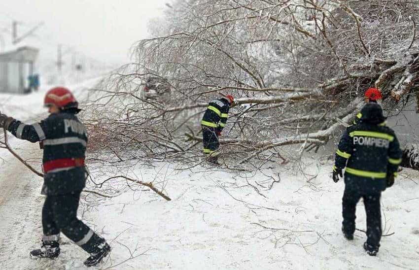 copac-doborat-zapada-pompieri