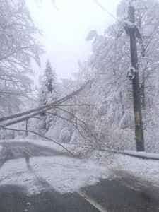 (VIDEO) Atenție! Copaci căzuți pe Transfăgărășan! 1 transfagaras zapada - (VIDEO) Atenție! Copaci căzuți pe Transfăgărășan!