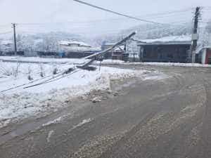 Prefectul de Argeș: Vremea a făcut multe probleme legate de alimentarea cu electricitate 1 zapadaa - Prefectul de Argeș: Vremea a făcut multe probleme legate de alimentarea cu electricitate