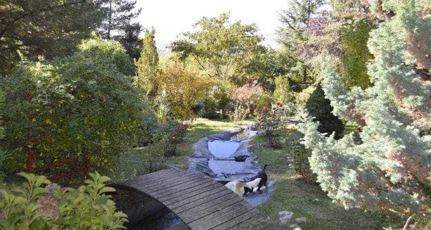 5,3 milioane euro – prețul de vânzare pentru o proprietate spectaculoasă din Topoloveni! 6 conac gradina - 5,3 milioane euro – prețul de vânzare pentru o proprietate spectaculoasă din Topoloveni!