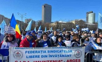 protest profesori arges SIPA