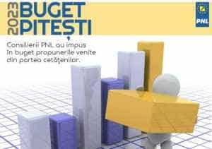 Sursă foto: PNL Argeș