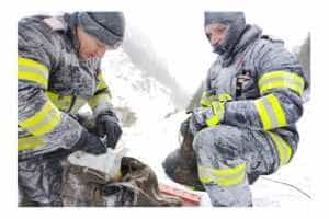 Capra interventie pompieri