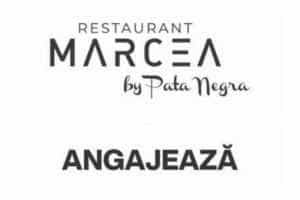 Marcea by Pata Negra își mărește echipa! 1 Marcea