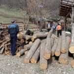 ARGEȘ: Nereguli la o firmă din industria lemnului. Ce măsuri au luat autoritățile 10 control firma lemne2 - ARGEȘ: Nereguli la o firmă din industria lemnului. Ce măsuri au luat autoritățile