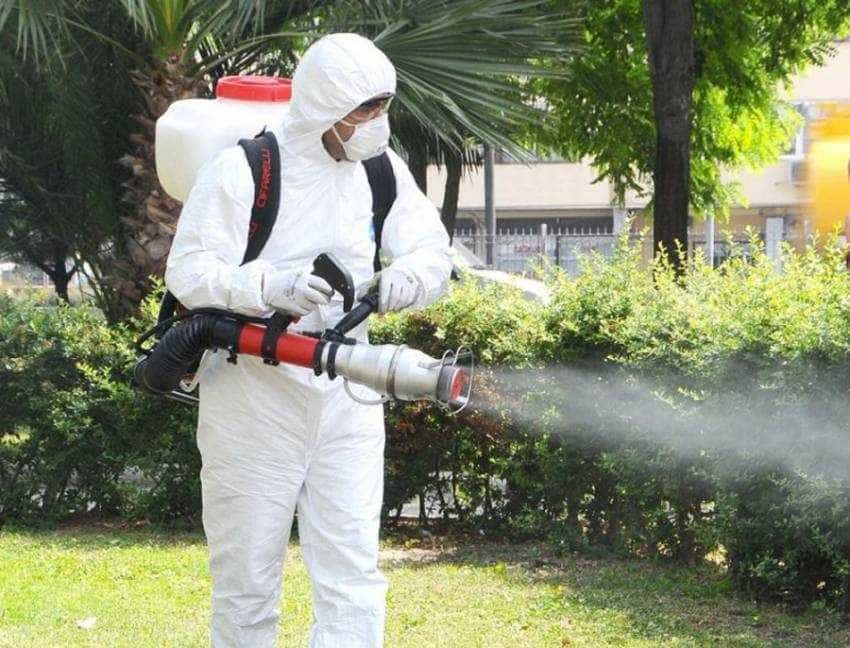 stropiri Pitesti fitosanitar Sursă foto. Facebook Primăria MUnicipiului Pitesti