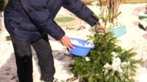 zapada - România 2023! Locatarii unui bloc topesc zăpadă pentru a se spăla!