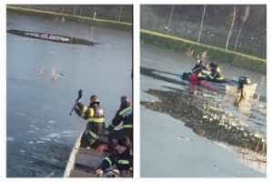 copii salvati rau olt