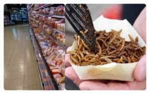 ANPC, precizări privind produsele din insecte! Cum vor fi vândute în țara noastră 1 insecte produse - ANPC, precizări privind produsele din insecte! Cum vor fi vândute în țara noastră