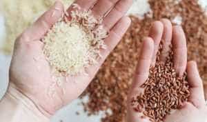 Sursă foto: vegis.ro.