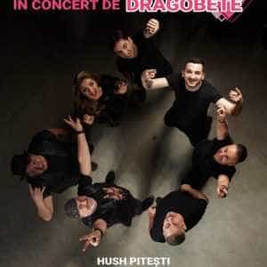 Provincialii la Hush