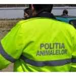 Acțiune pentru protecția animalelor la Costești 10 barbat protectia animalelor