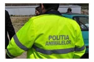 barbat protectia animalelor