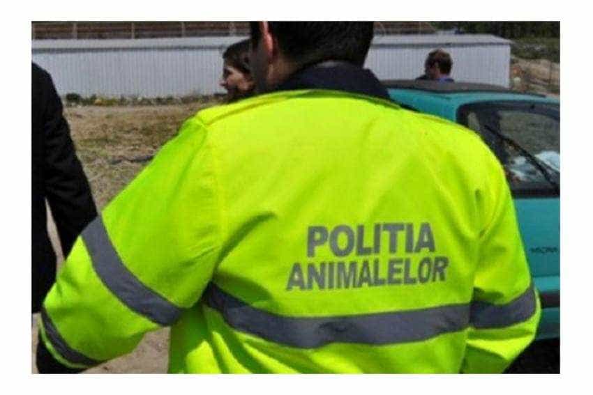 barbat protectia animalelor barbat protectia animalelor