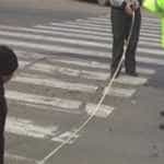 accidente trecere pietoni