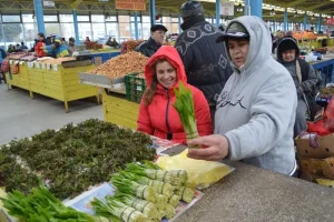 Nu e deloc ieftin să ții post! Verdeața care se vinde mai scump decat carnea 3 urzici post