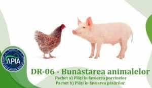 APIA. Puteți depune cererile pentru bunăstarea animalelor 1 Sursă foto: site APIA