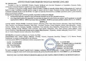 ȘTEFĂNEȘTI. Programul de colectare a deșeurilor vegetale 2 Ștefănești