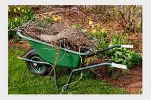 ȘTEFĂNEȘTI. Programul de colectare a deșeurilor vegetale 1 Ștefănești