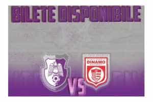 Fc Argeș Basketball