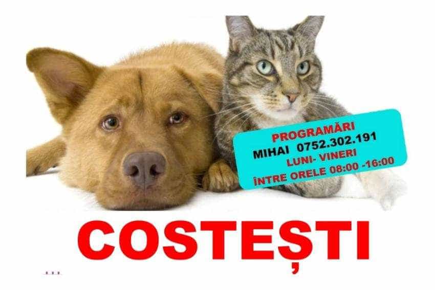 Costești