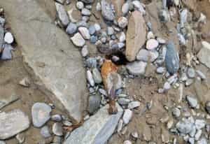 bomba e1678196271641 - Bombă din Primul Război Mondial - găsită de un bărbat în Argeș!