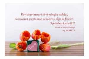 Untitled Project 20 - Ion Baicea, cu ocazia zilei de 1 martie: „O primăvară fericită!”