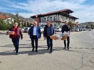 Nicolae Velcea Ștefănești